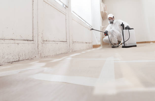 24/7 Emergency Bathroom Mold Removal experts in Sterling, GA